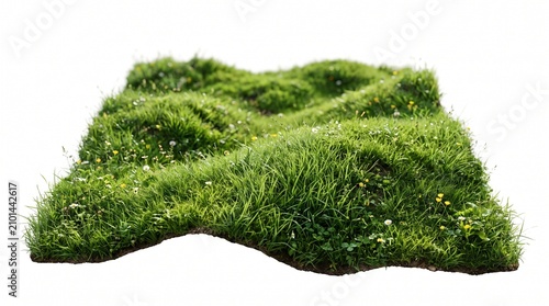 vibrant green grass meadow cut out white background
