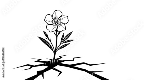 A delicate flower growing through a crack in the ground.