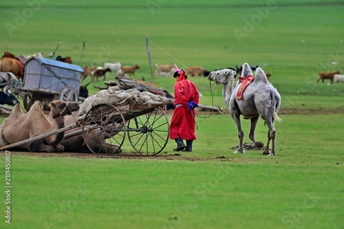 Foto the lifestyle of the Mongolian nomad resides in Ger and their herdsman roams thr