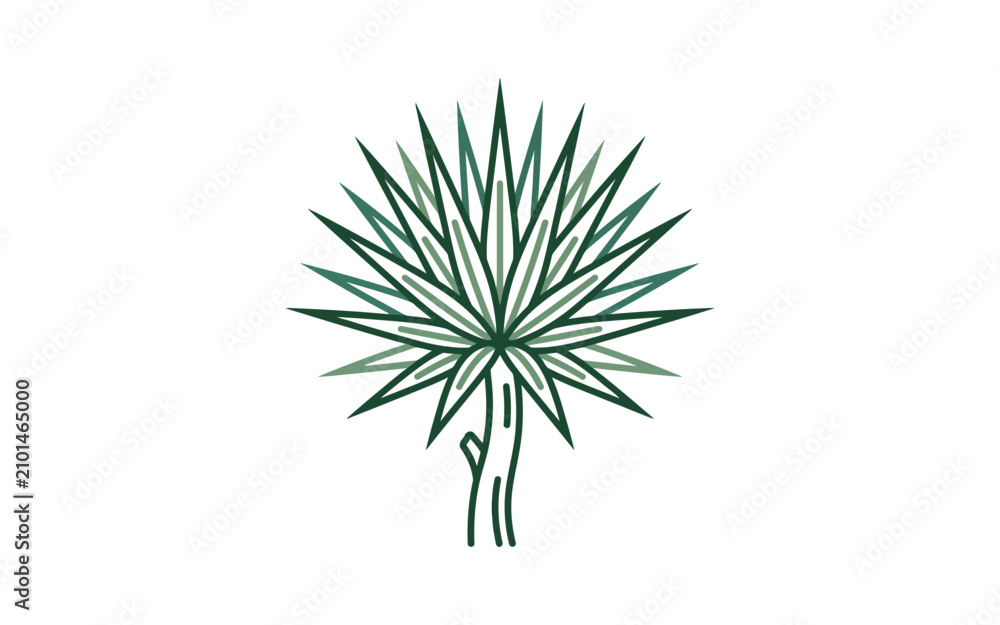 Obraz premium Stylized Fan Palm Leaf Vector Illustration