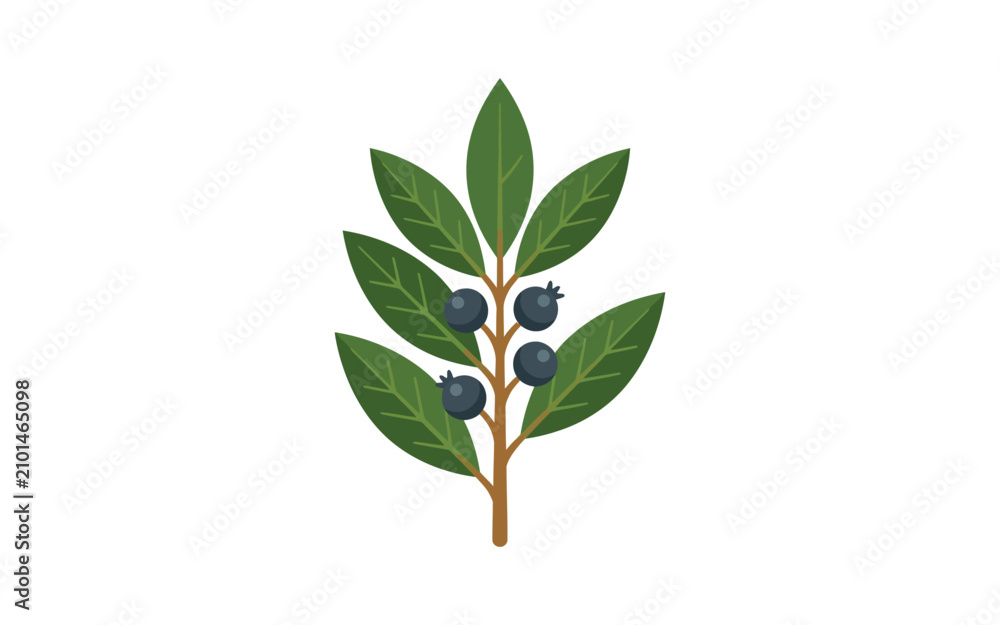 Fototapeta premium Blueberry Branch Flat Vector Illustration
