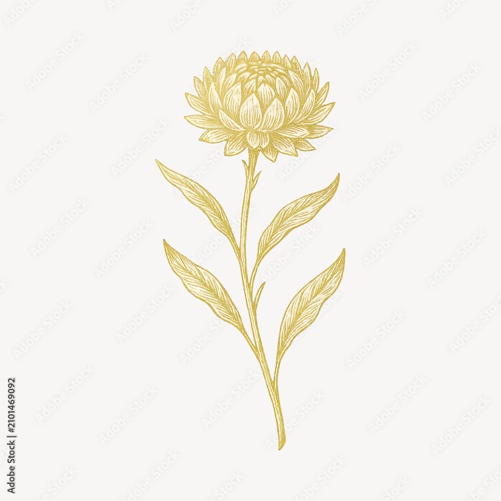 Obraz premium Elegant golden flower illustration