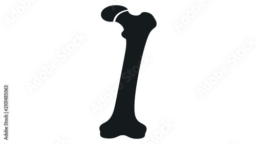 Quadro su tela Femur bone appears as a stylized medical illustration representing human skeletal anatomy