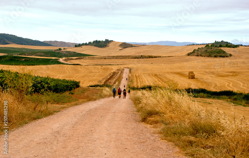 The Challenge of the French Way: Villamayor de Monjardín to Los Arcos, Spain
