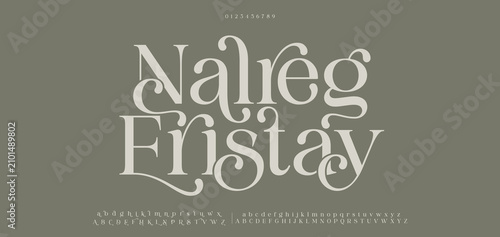 Canvastavla Nalreg Eristay, Luxury modern beauty logo alphabet font