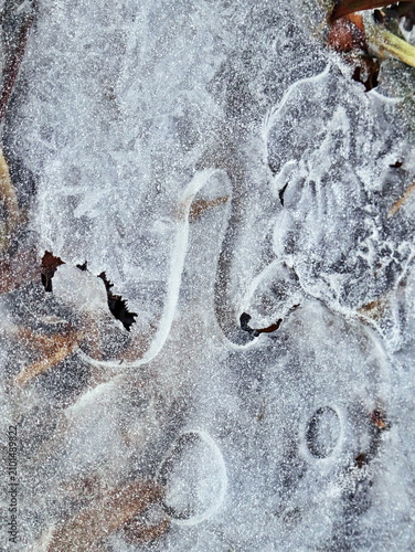 Frosted Ice Surface with Bubble and Swirl Patterns Over Organic Ground, Winter Nature Abstract Macro Detail