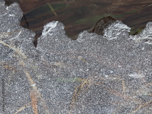 Frosted Ice Sheet Edge Over Pond with Grass and Leaves Visible Below, Winter Nature Water Macro Detail