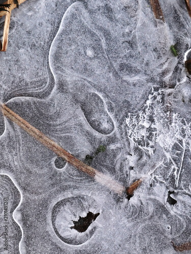Complex Frosted Ice Sheet with Swirl and Bubble Patterns Over Organic Ground, Winter Nature Abstract Portrait Macro