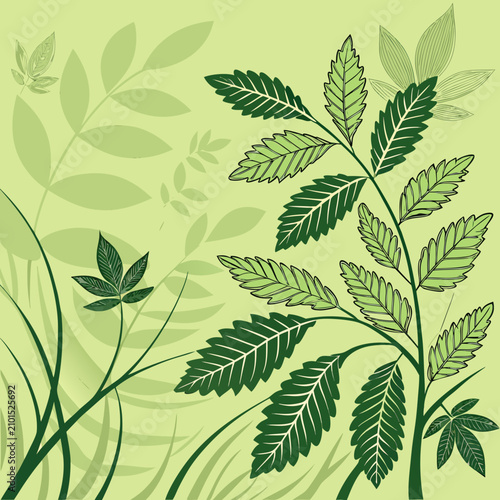 Foto Green fern leaves illustration with various shades and textures illustration veg