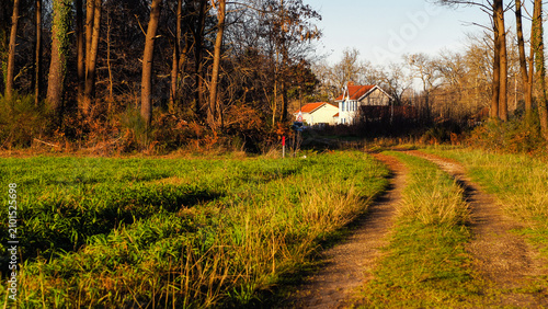 Photos Forêt des Landes de Gascogne en période automnale