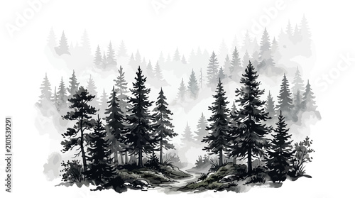 Misty pine forest with a path leading through evergreen trees.