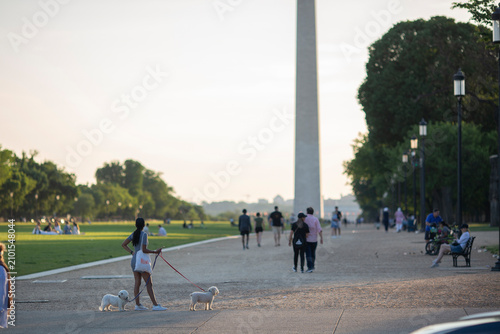 Washington DC cityscape