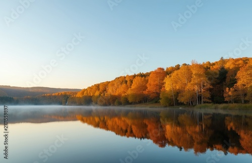 Golden autumn forest at lake shore during sunny morning. Calm water reflects bright orange yellow trees under clear blue sky. Mist floats over pond surface near dense woods. Scenic nature landscape
