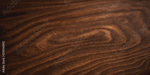 Cuadro en lienzo Rich brown wood texture showing concentric grain lines and knot with background