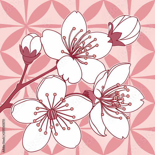 Foto Pink floral illustration with blossoming branches and petals on a decorative bac