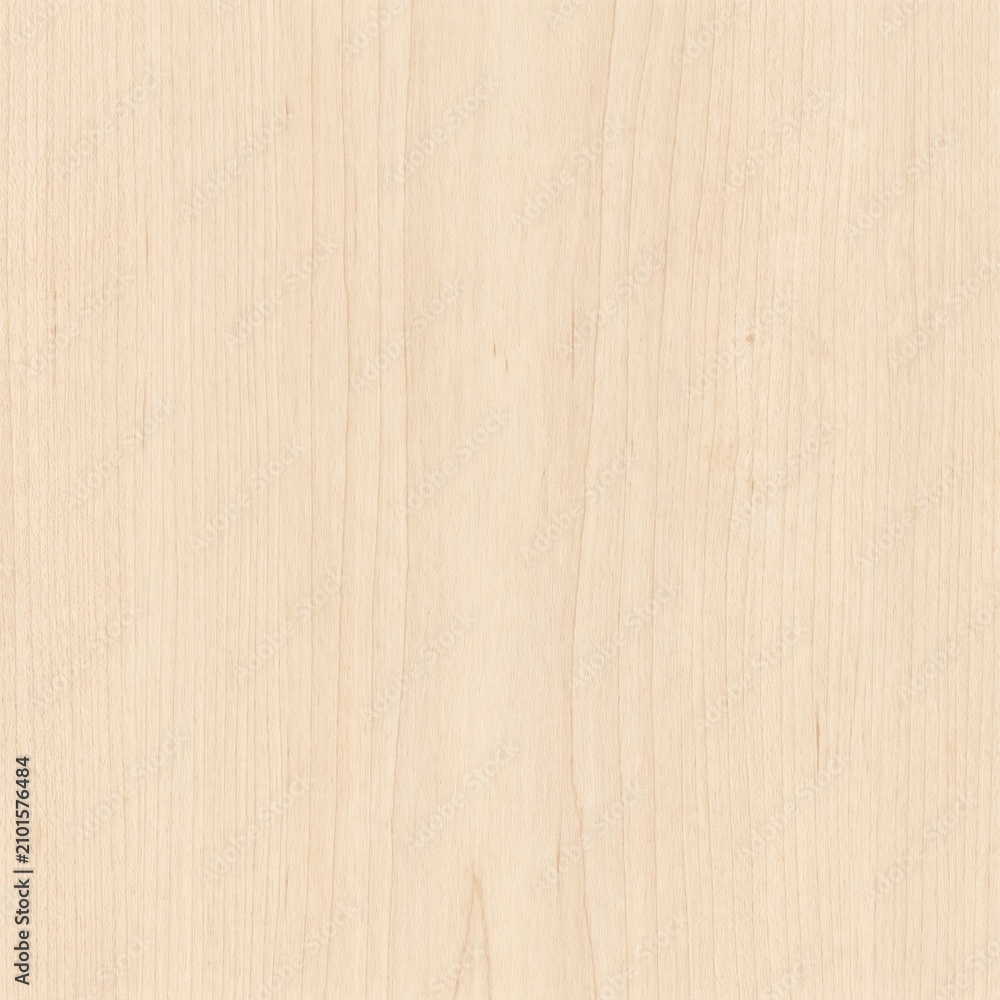 Fototapeta premium Light White Oak Wood Texture Background for Interior Design and Architectural Furniture Visualization