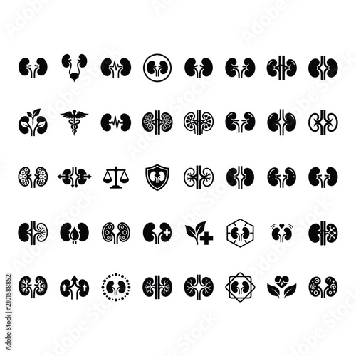 Collection of diverse kidney icons representing health, medicine, and well-being