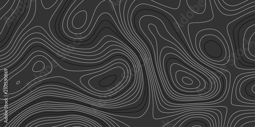 Schilderij op canvas Monochrome elevation map design with fine contour lines on a black surface, blending modern aesthetics with natural geological inspiration