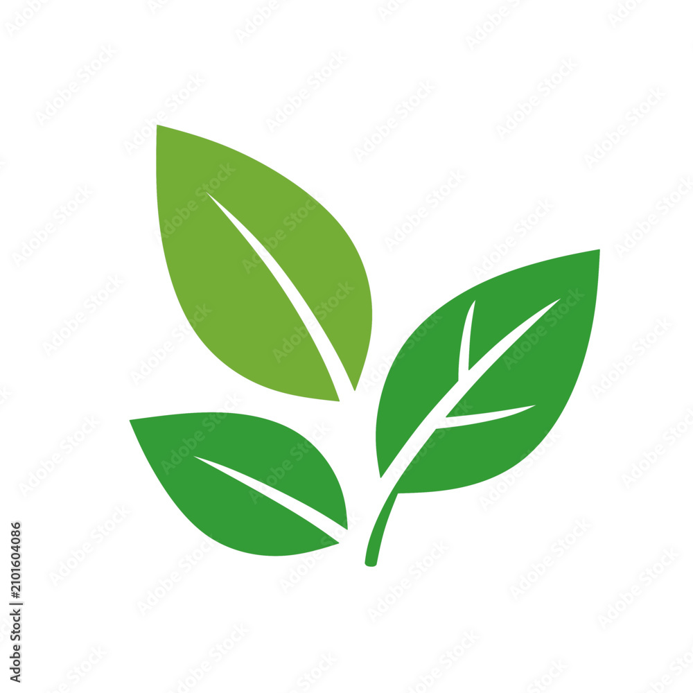 Fototapeta premium Green leaf icon. Nature symbol vector illustration.Simple green leaf symbol for eco or nature concepts