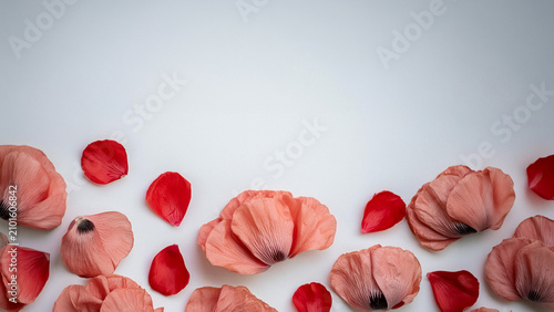 Nature background with poppy petals