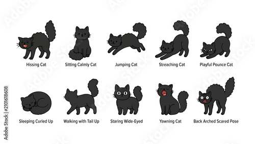 Tableau sur toile Collection of Black Cat Poses: A charming compilation showcasing a black cat in various adorable poses, from napping to stretching and playing, each depicted with expressive detail