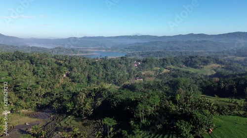 Aerial view captures lush green terraces