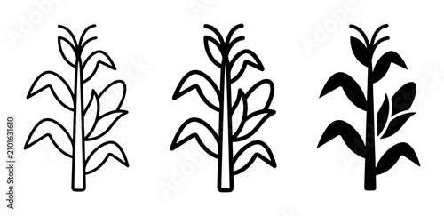 Foto Corn Stalk Icons, Maize Plant Vector Graphics, Agricultural Crop Symbols, Organi