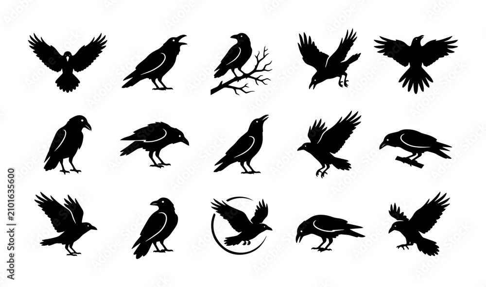 Obraz premium Raven Silhouette Collection: 15 Vector Icons for Gothic and Mystical Designs, Bird Graphics