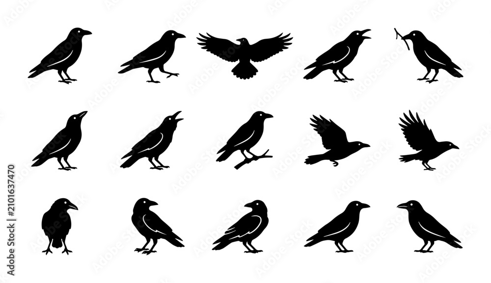 Obraz premium Crow Silhouette Collection: Diverse Poses of Black Birds, Vector Icons for Wildlife and Gothic Themes