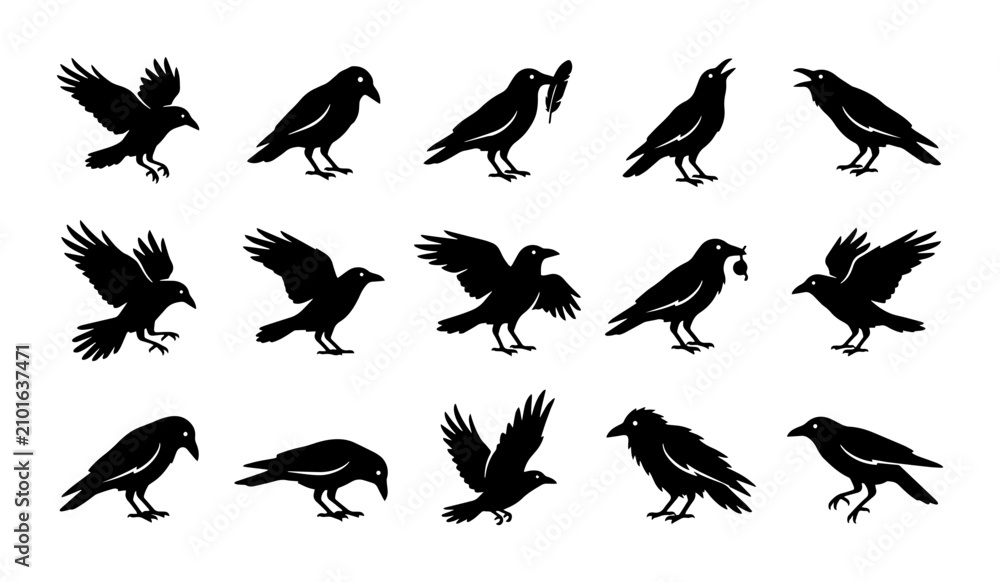 Obraz premium Silhouette Crow Collection: 15 Black Bird Vector Icons, Flying and Perching, Gothic and Mystical Elements