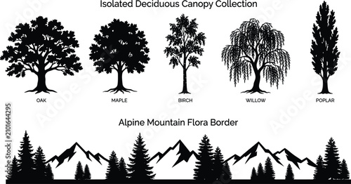 Bild auf Leinwand Isolated Deciduous Canopy Collection and Alpine Mountain Flora Border Vector Sil