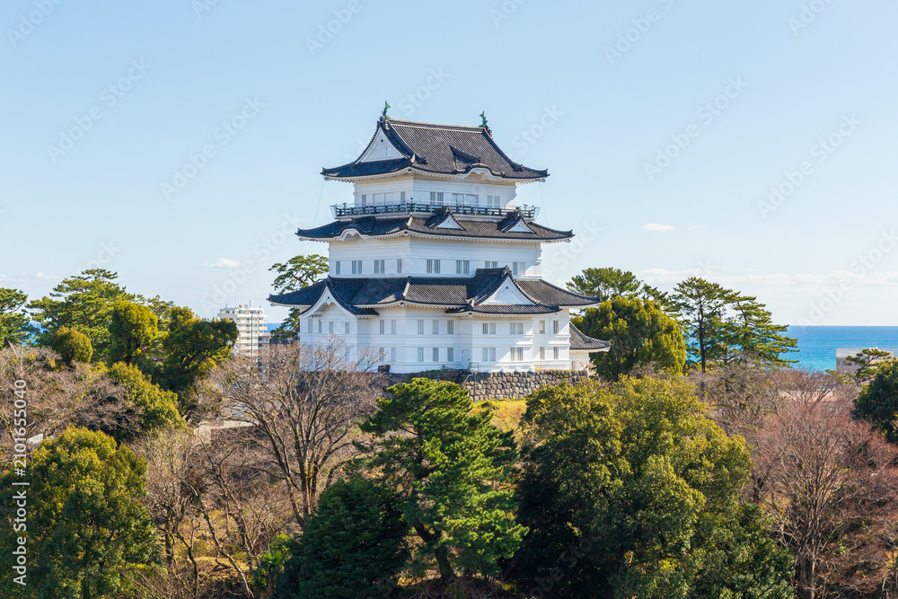 Fototapeta premium 日本の風景 神奈川 日本100名城 小田原城 天守