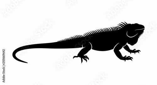 Obraz na plátně Iguana Silhouette On White Background Reptile Animal Shape