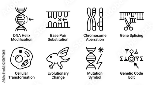 Tableau sur toile Genetics Icons: DNA, Chromosomes, Mutation, Evolution, Cellular Transformation