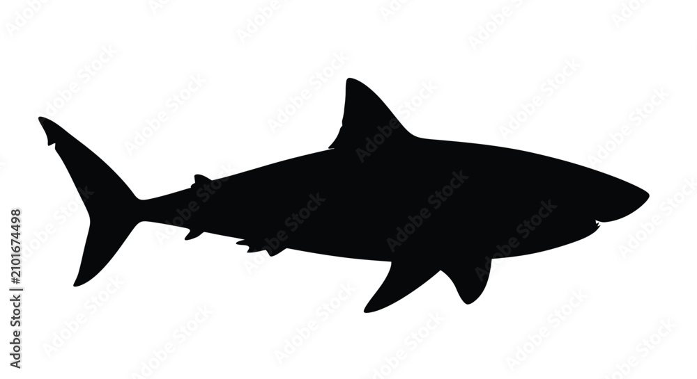 Fototapeta premium Shark Silhouette Against A White Background Black And White Illustration