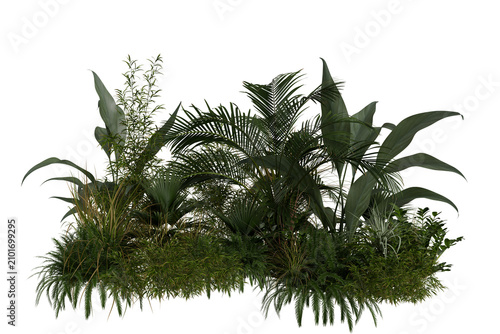 Lush tropical foliage and exotic rainforest plant arrangement