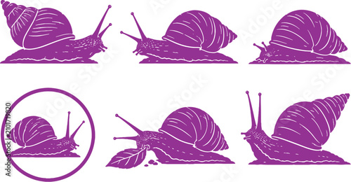 Canvastavla African Giant Snail Silhouette Icon Set Black Vector Land Mollusk Collection