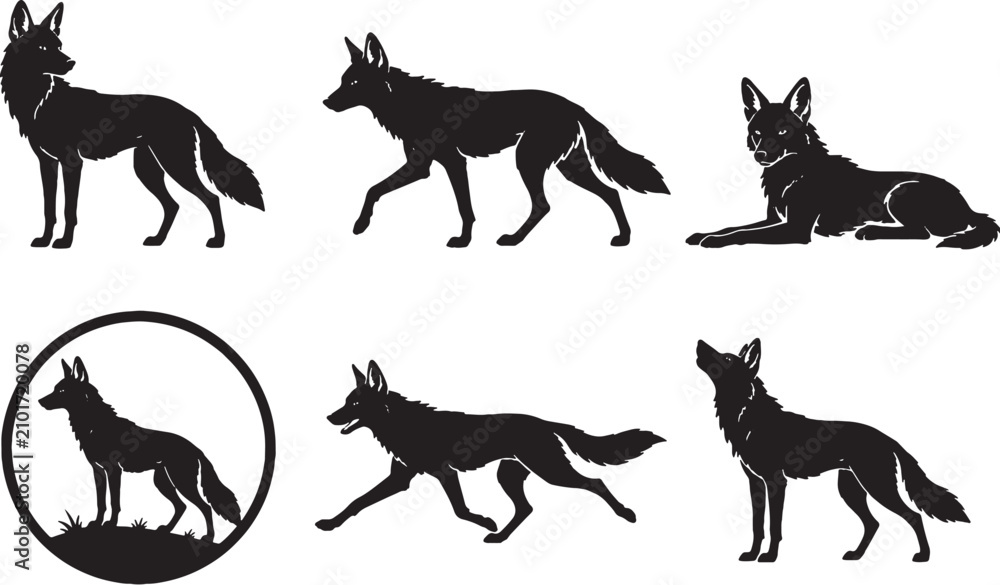 Fototapeta premium Dhole Black Silhouette Icon Set Vector Collection Isolated on White Background