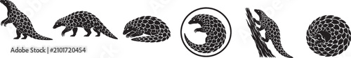 Foto Tree Pangolin Silhouette Icon Set Black Vector Wildlife Collection