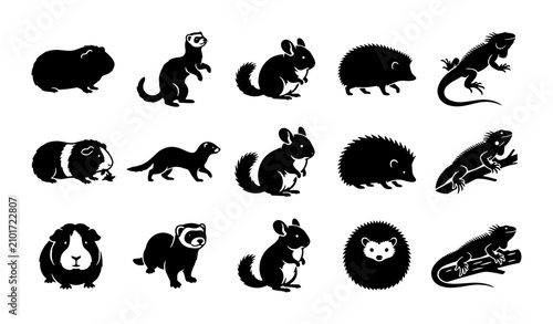 Bild auf Leinwand Exotic small pet icons set, 15 black silhouettes of guinea pig, ferret, chinchil