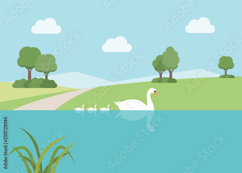 Schilderij op canvas swan mother swimming in the pond with three little cygnets behind her