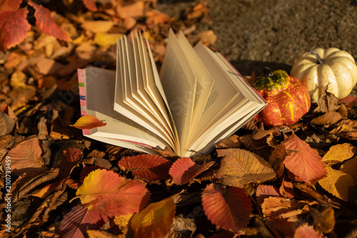 Hello, autumn. On a sunny day, an open book and two small pumpkins rest upon fallen red-orange leaves. A moment of pleasant solitude, self-education brings true pleasure. An atmospheric seasonal shot