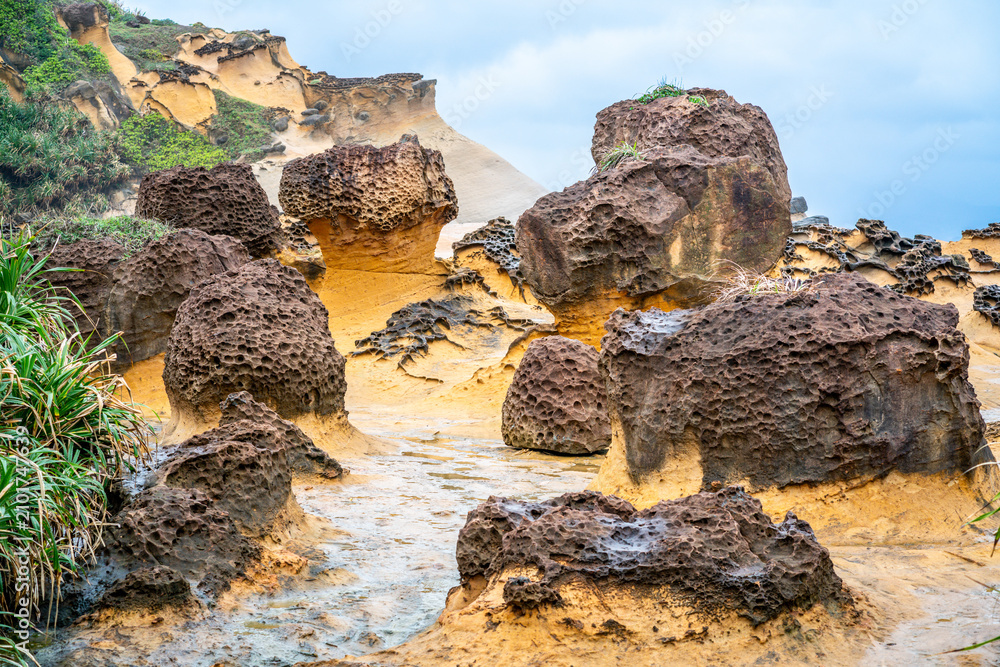 Fototapeta premium Scenic close-up view of hoodoo stones rock formation in Yehliu geopark in New Taipei Taiwan