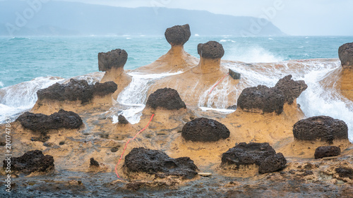 Vászonkép Scenic view of hoodoo stones rock formation with water on rocks in Yehliu geopar