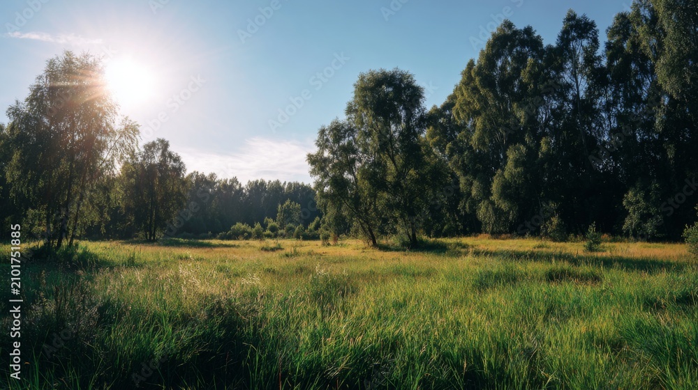Obraz premium Tranquil Meadow Landscape at Sunrise with Lush Green Grass and Tall Trees Beneath Clear Blue Sky