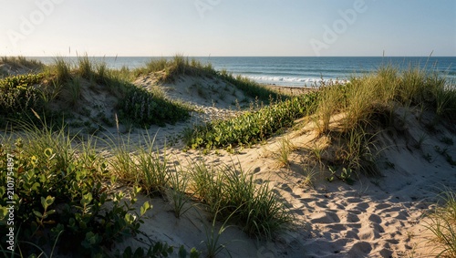 Scenic sand dunes covered with green coastal grass near ocean waves ideal for travel banner summer vacation and wellness marketing