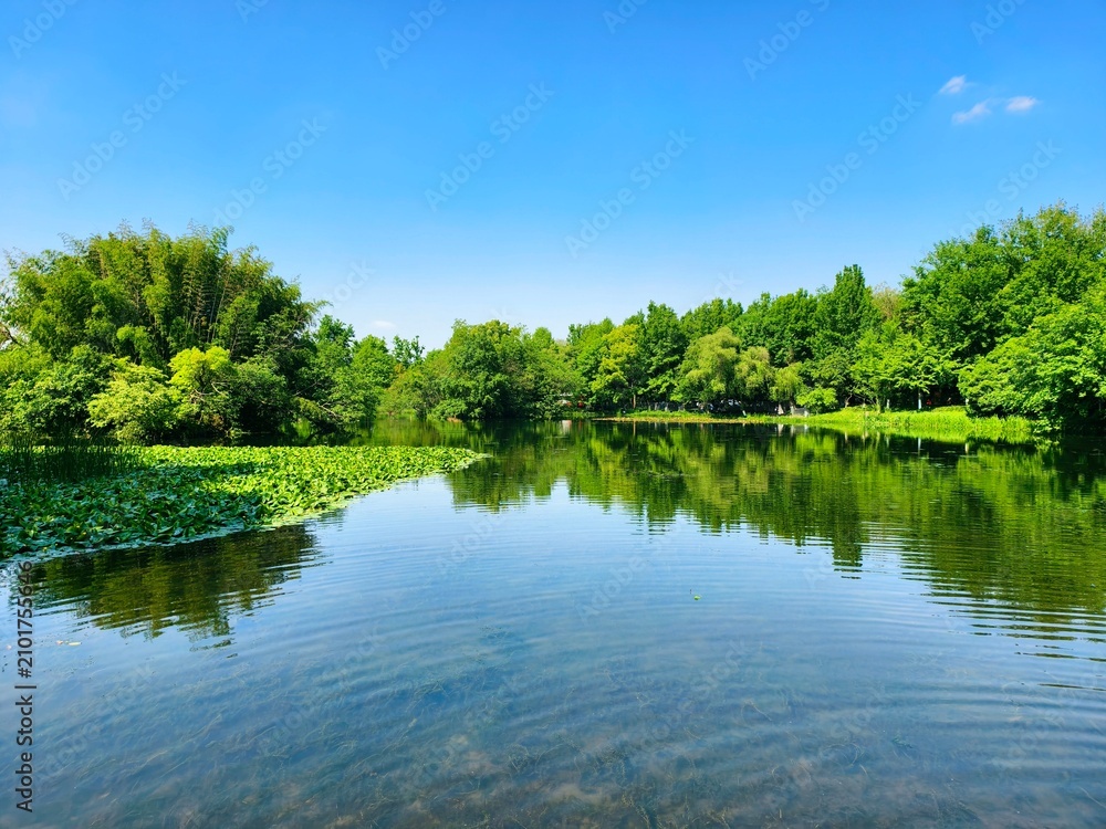 Fototapeta premium A lush green lake, its surface like a mirror reflecting the surrounding forest.