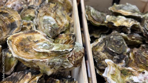 Fresh raw oysters are packed in a wooden box at a seafood counter. These premium, organic Mediterranean mollusks are displayed as fresh, nutritious delicacies. A close-up of the rough, textured shells
