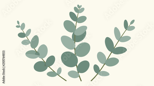 Trio of eucalyptus sprigs with silvery green round leaves on warm ivory background, minimal botanical flat vector illustration for wellness branding, wedding stationery and natural decor