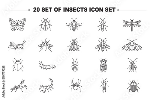 Bild auf Leinwand Insects bug web line icons set spotted ladybug beetle praying mantis insect hone